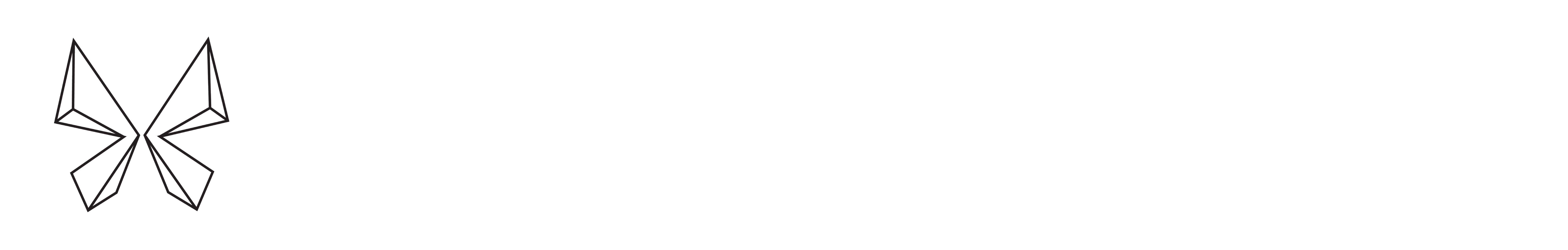 chaos theory